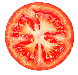 vegetable